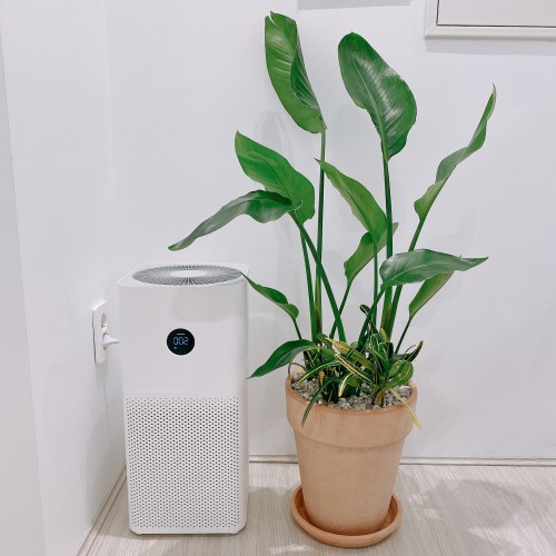 이브필라테스 화곡점, 신규 수강생 모집 